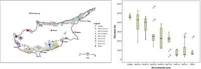 Pod Morphology, Primary and Secondary Metabolite Profiles in Non-grafted and Grafted Carob Germplasm Are Configured by Agro-Environmental Zone, Genotype, and Growing Season